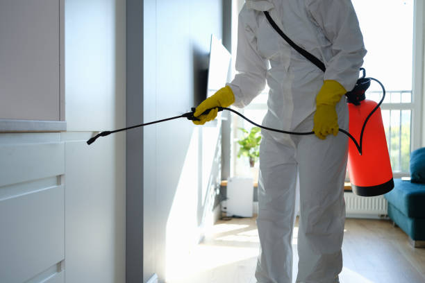 Best Residential Mold Remediation in Norman Park, GA