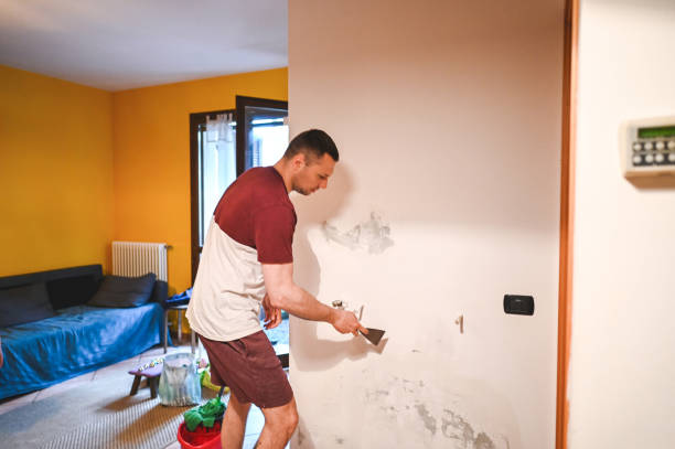 Best Bathroom Mold Remediation in Norman Park, GA